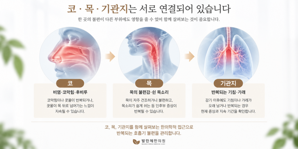 보폐고엔오 코 목 기관지 증상 안내