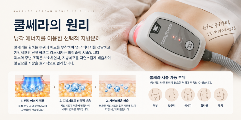 쿨쎄라 냉각 에너지가 피하지방층에 작용하는 냉동지방분해 원리