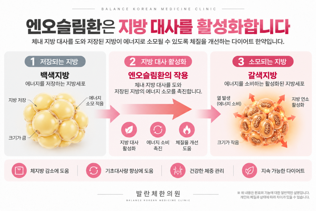 엔오슬림환 지방 대사, 백색지방을 갈색지방으로 활성화.