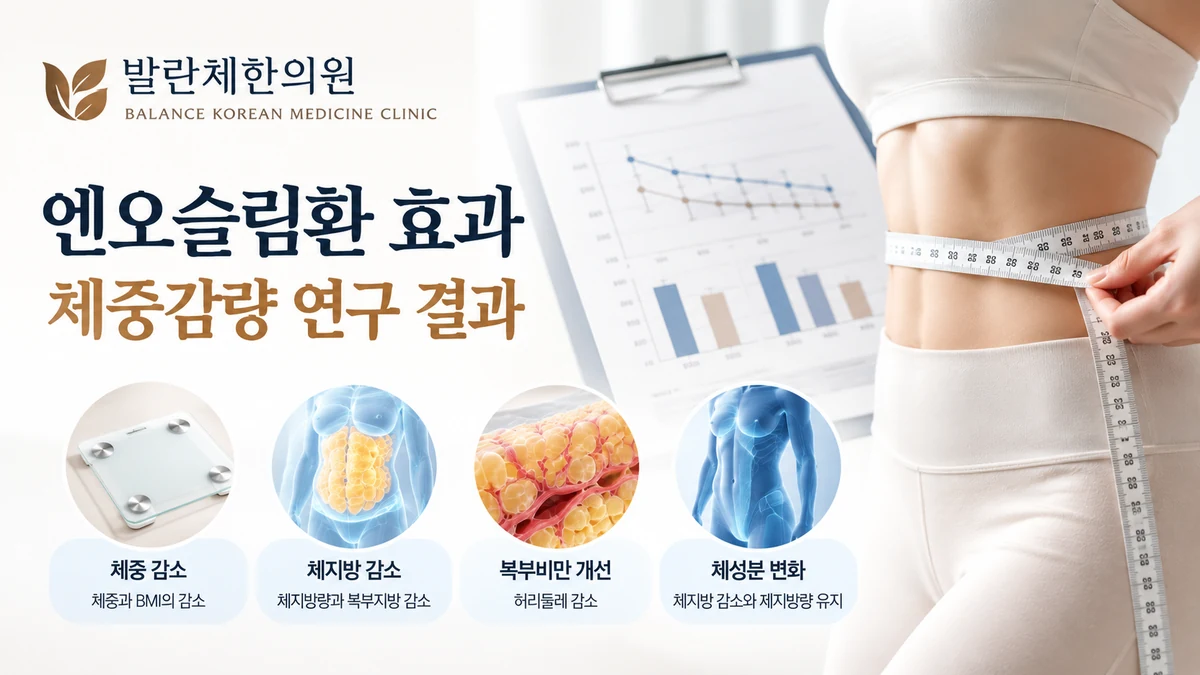 다이어트 한약 임상연구에서 평가하는 체중 BMI 체지방 복부지방 지표의 개념 이미지