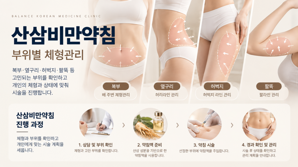 위례 발란체한의원 산삼비만약침 복부 옆구리 허벅지 팔뚝 부위별 체형관리 안내