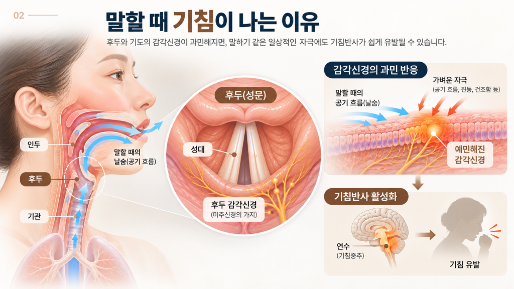 후두와 성대의 구조, 감각신경 과민 반응 및 연수를 통한 기침반사 활성화 과정을 설명하는 의료 일러스트